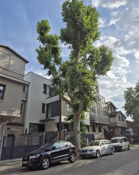 Casă individuală cu 8 camere cu Canalizare în Parcul Carol