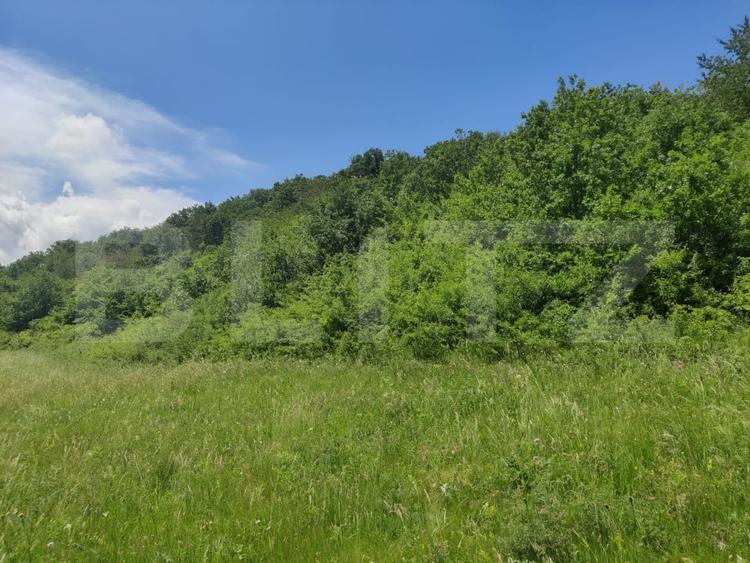 Teren agricol extravilan de 28500 mp, în Gușterița