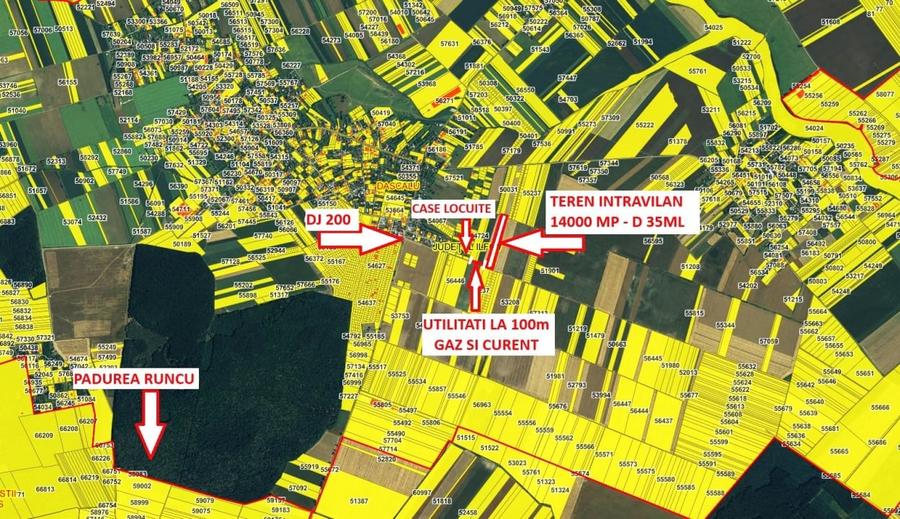 Teren Construcții intravilan de 14000 mp, în Dascălu