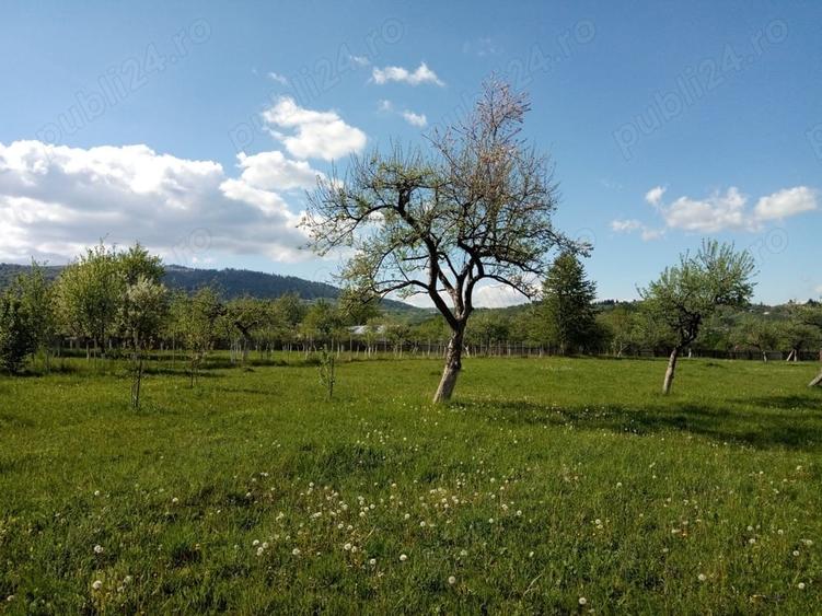 Teren de 3185 mp, în Nereju