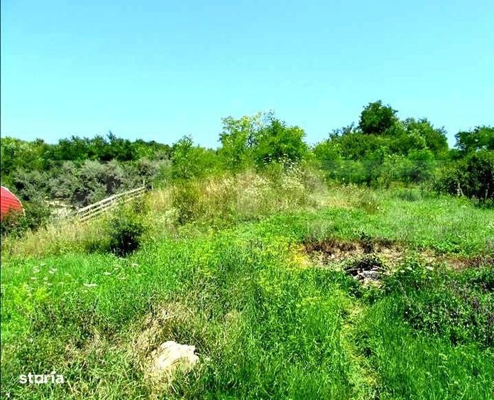 Investitie !Teren extravilan,15554 mp, zona in plina dezvoltare - 2