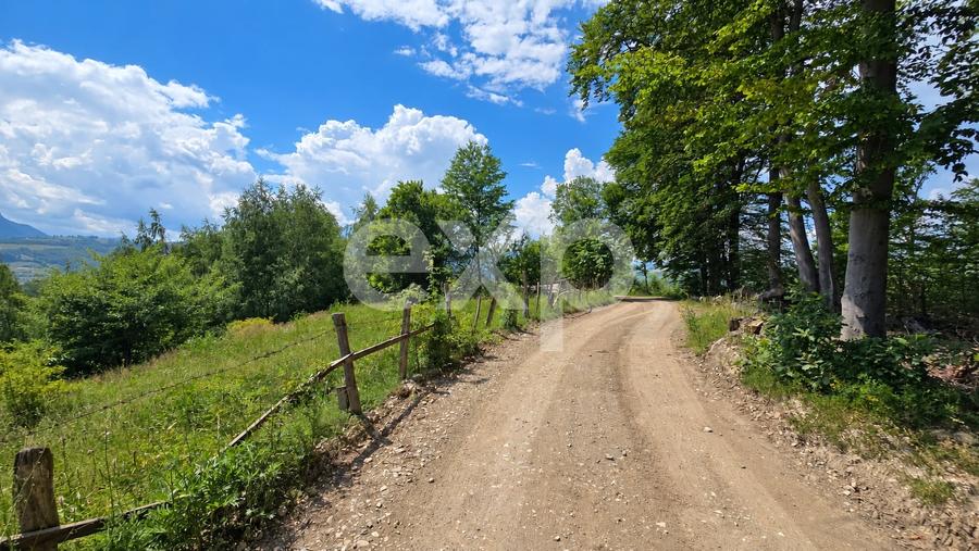 Teren agricol extravilan de 4000 mp, în Poiana Mărului