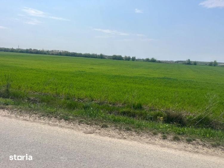 Teren de 5600 mp, în Ciocănești