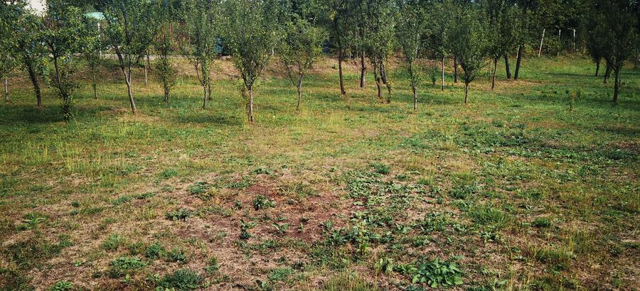 Teren Construcții intravilan de 1400 mp, în Est