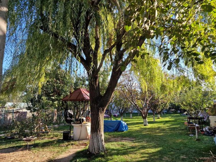Casă cu 7 camere cu Canalizare în Cazasu