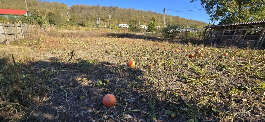Casă cu 4 camere în Frumușelu