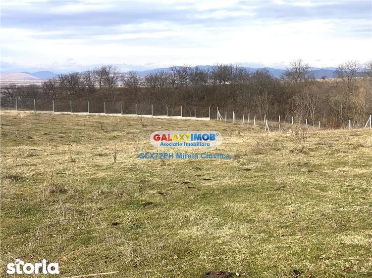Teren de 4000 mp, în Central