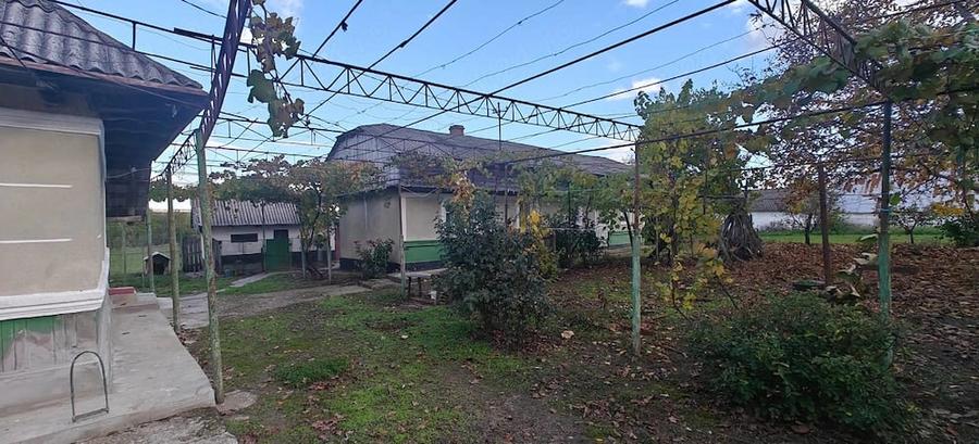 Casă cu Teren 5500 Mp în Central