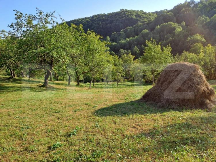 Casă cu 2 camere cu Teren 10000 Mp în Almașu Mare