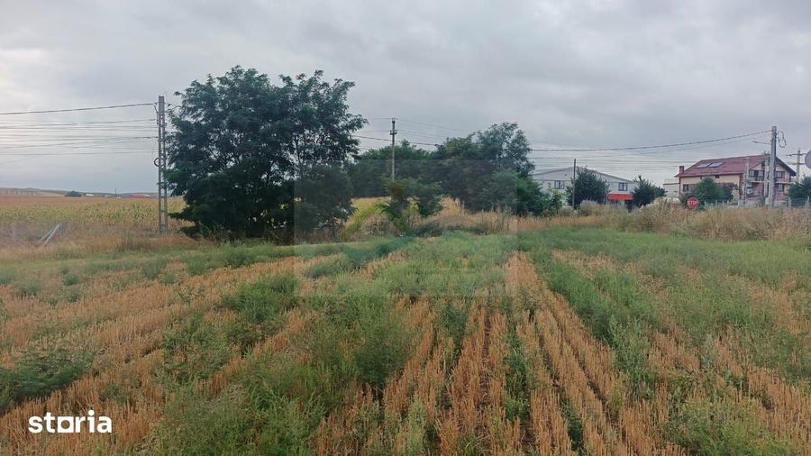 Teren de 1000 mp, în Frătăuții Noi