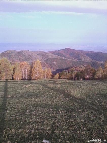 Teren superb Tarsa Luncani Hunedoara - 1