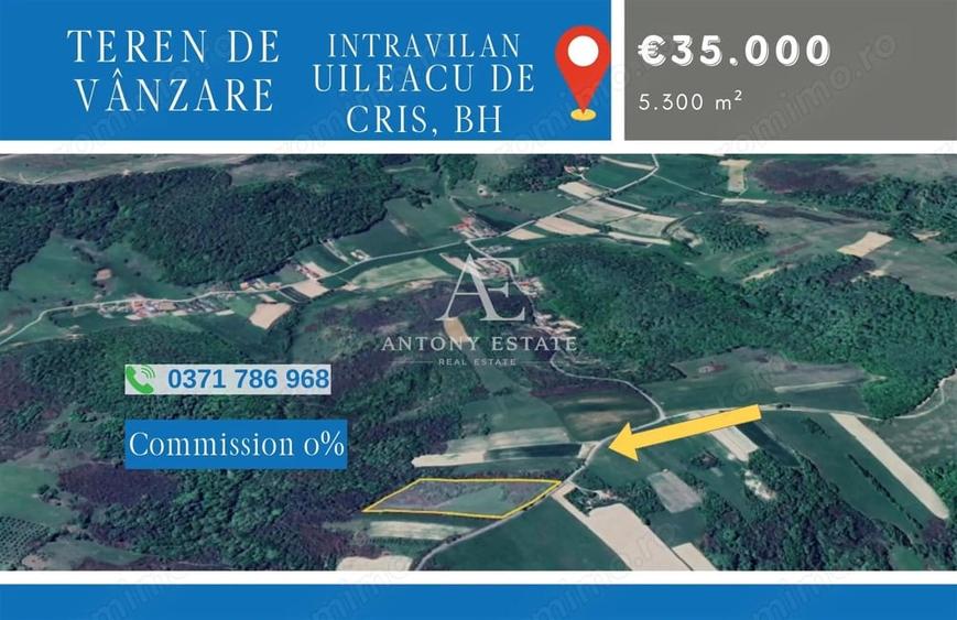 Teren de 5300 mp, în Uileacu de Criș