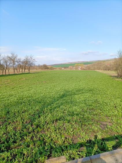 Teren Construcții intravilan de 3550 mp, în Răscruci