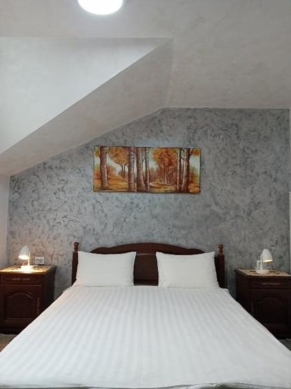 Hotel/Pensiune, de 16 mp, în Central