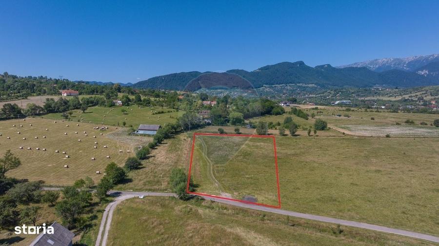 Spațiu comercial, în Sohodol