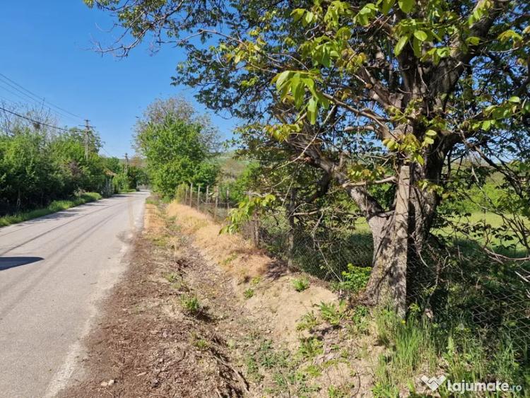 Teren de 3392 mp, în Călinești