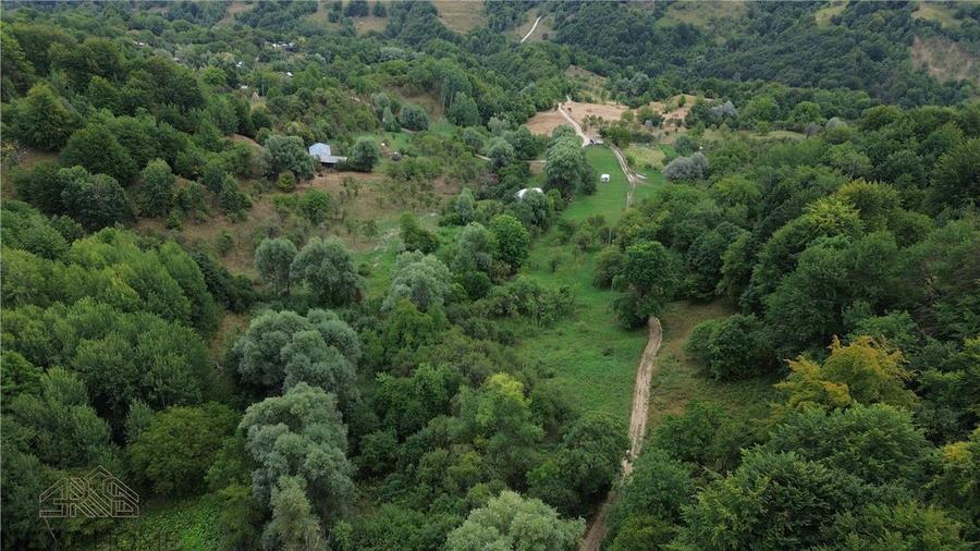 Casă cu 3 camere cu Teren 5913 Mp în Paltin