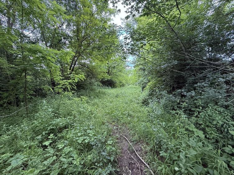 Teren Construcții intravilan de 3800 mp, în Provița de Sus