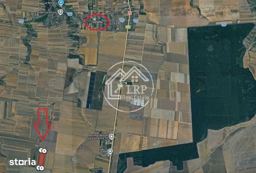 Teren de 55000 mp, în Călugăreni
