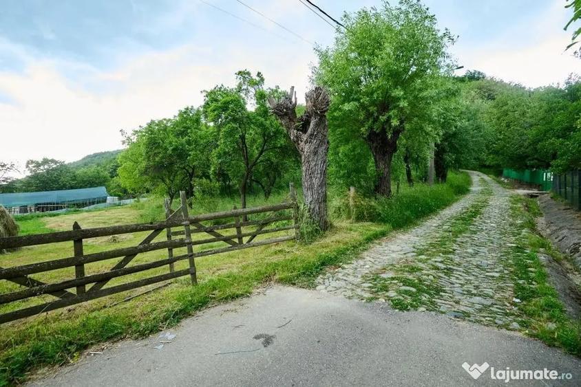 Casă cu 3 camere cu Teren 4696 Mp în Central