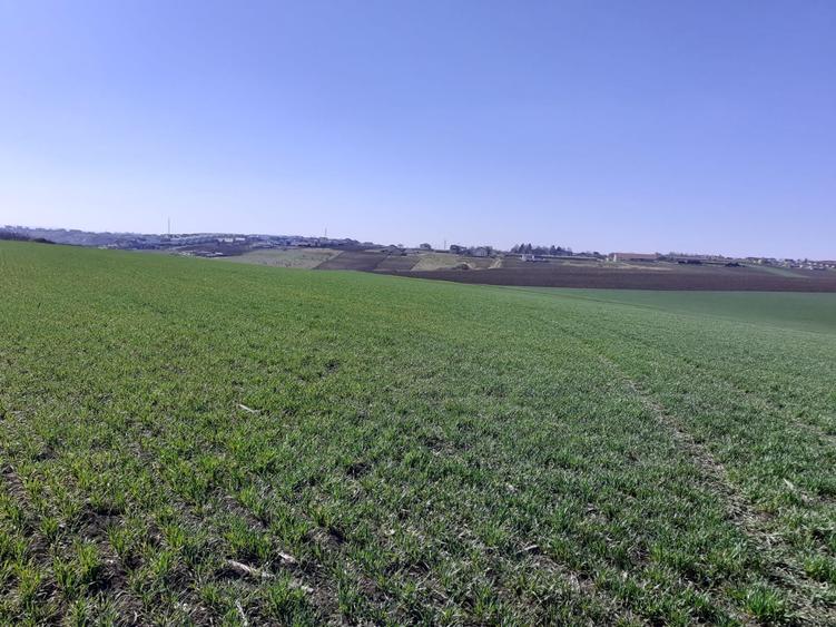 Teren de 14300 mp, în Breazu