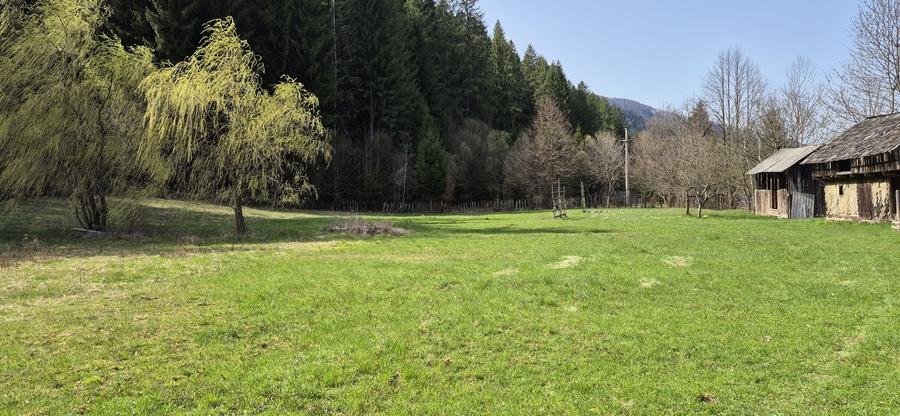 Teren de 4096 mp, în Tarcău