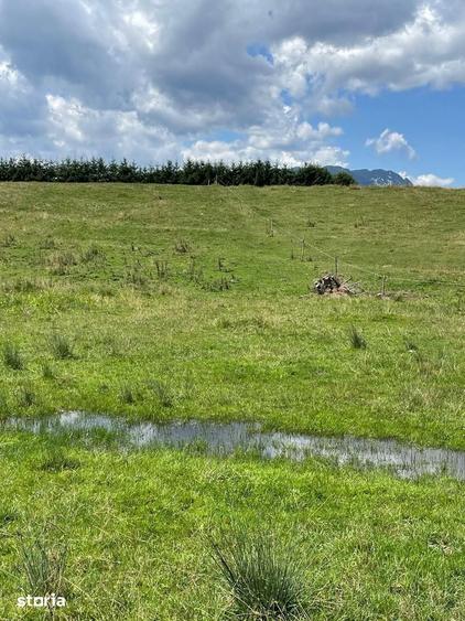 INVESTI?IE | Teren 5000 mp PUZ APROBAT intravilan - zona Sohodol -Bran - 1