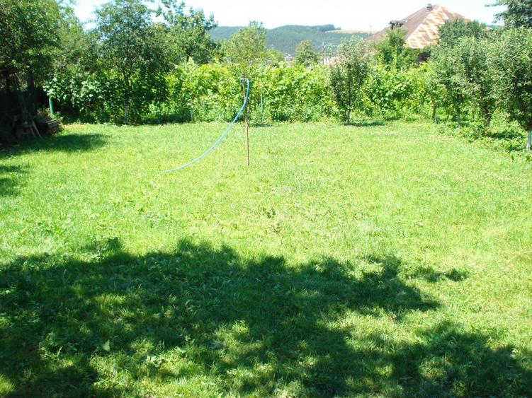Casă individuală cu 9 camere cu Piscina în Central