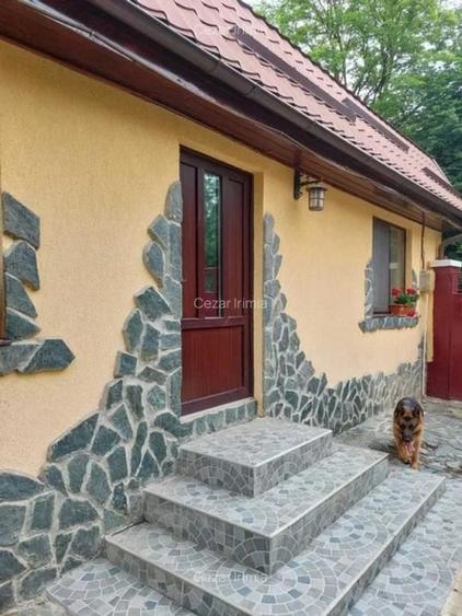Casă individuală cu 3 camere cu Teren 2300 Mp în Nord-Est