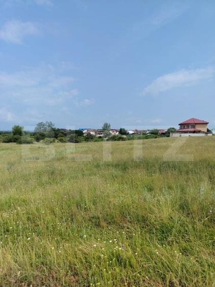Teren agricol extravilan de 1900 mp, în Priseaca