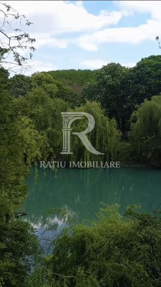 Teren extravilan de 9000 mp, în Buduslău