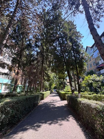 Apartament semidecomandat în Gheorgheni