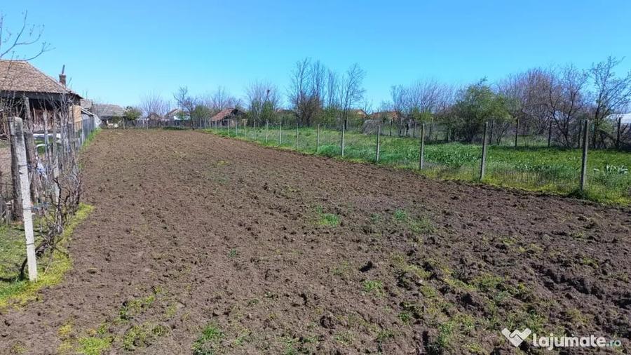 Casa de vanzare - comuna Ciupercenii Noi, jud Dolj - 11