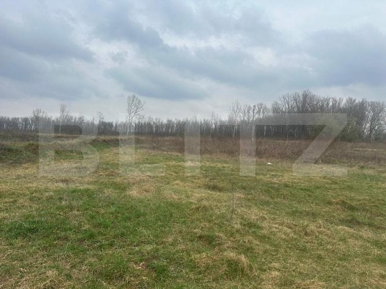 Teren Construcții intravilan de 4844 mp, în Periferie