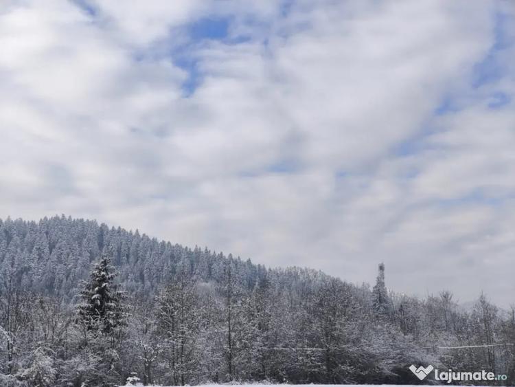Teren de 22600 mp, în Sucevița