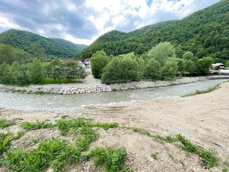 Teren de 12150 mp, în Plaiul Foii