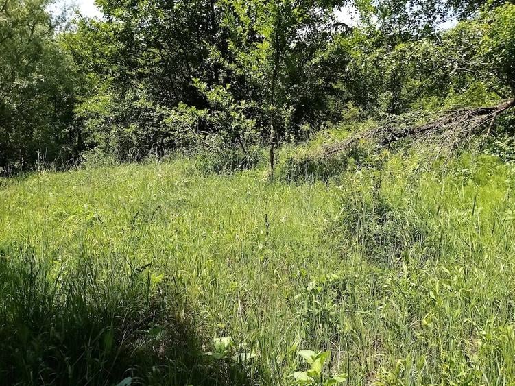 Teren de 3999 mp, în Șerbănești (Sălătrucel)
