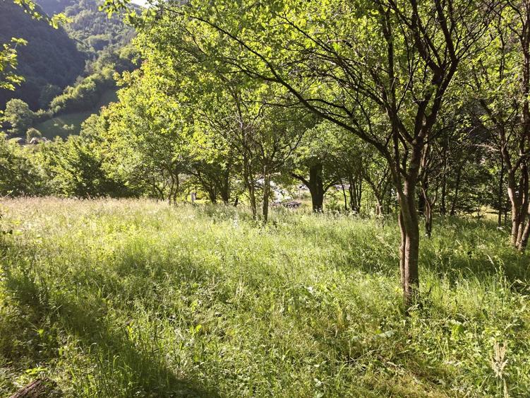Vind teren la munte in Rau Sadului jud.Sibiu intravilan pozitie foarte buna - 5