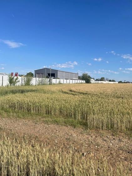 Teren Construcții intravilan de 6750 mp, în Bragadiru