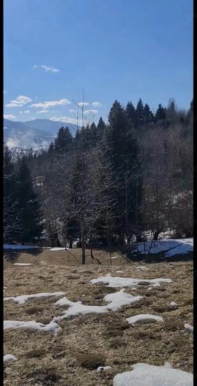 Teren de 3900 mp, în Central
