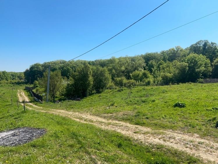 Teren agricol intravilan de 650 mp, în Bucium