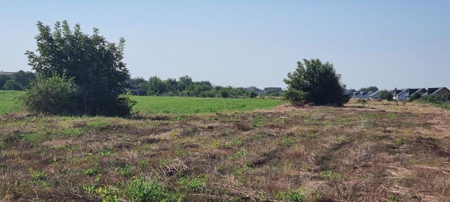 Teren Construcții intravilan de 2000 mp, în Ciorogârla