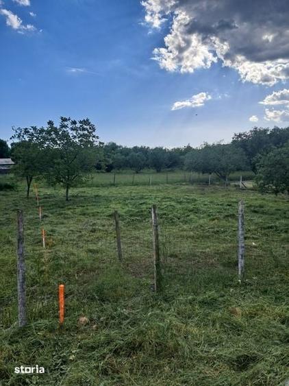 Teren de 700 mp, în Ștrand