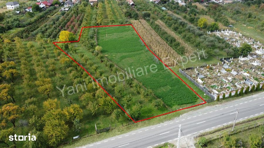 Teren de 2619 mp, în Corbeni