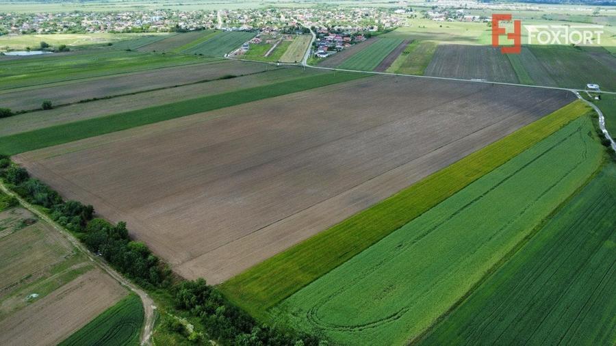 Teren Construcții intravilan de 40600 mp, în Bucovăț (Remetea Mare)