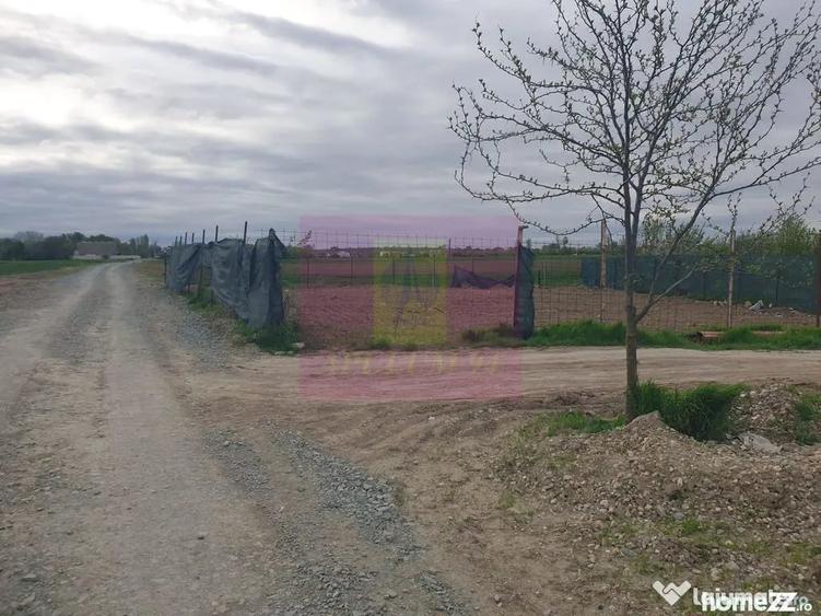 Teren în Sud
