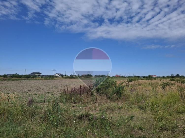 Teren agricol extravilan de 28800 mp, în Poșta