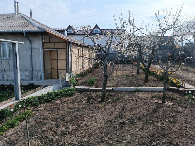 Casă cu 4 camere cu Teren 1000 Mp în Medgidia
