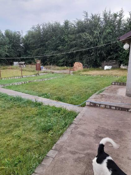 Casă cu 2 camere în Valea
