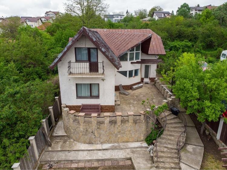 Spațiu comercial, de 190 mp, în Valea Lupului